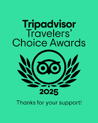 Tripadvisor Travelers' Choice Awards 2025 logo with owl symbol on green background.